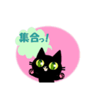 黒猫ちゃんしゃべりすぎ。2動く編。（個別スタンプ：6）