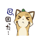 きつねねこ（個別スタンプ：5）