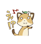 きつねねこ（個別スタンプ：13）