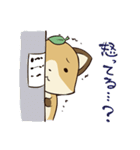 きつねねこ（個別スタンプ：19）