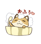 きつねねこ（個別スタンプ：36）