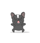 Raven the French Bulldog Animated（個別スタンプ：1）