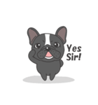 Raven the French Bulldog Animated（個別スタンプ：2）