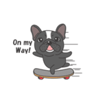 Raven the French Bulldog Animated（個別スタンプ：3）