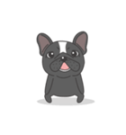 Raven the French Bulldog Animated（個別スタンプ：11）