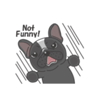 Raven the French Bulldog Animated（個別スタンプ：13）