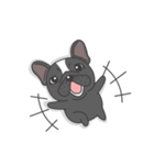 Raven the French Bulldog Animated（個別スタンプ：14）