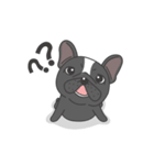 Raven the French Bulldog Animated（個別スタンプ：18）