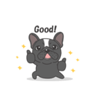 Raven the French Bulldog Animated（個別スタンプ：24）