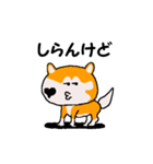 日本 柴犬 WEST（個別スタンプ：15）