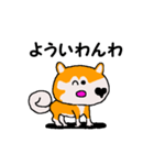 日本 柴犬 WEST（個別スタンプ：24）