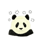 Secret of panda（個別スタンプ：2）