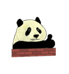 Secret of panda（個別スタンプ：22）