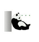 Secret of panda（個別スタンプ：33）