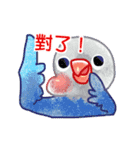 Bird,Bird,Bird,Bird（個別スタンプ：13）