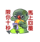 Bird,Bird,Bird,Bird（個別スタンプ：22）