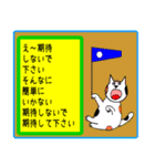 日本猫銀ちゃん国際信号旗バージョン5（個別スタンプ：31）