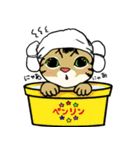 仲良しキャッツ（個別スタンプ：11）