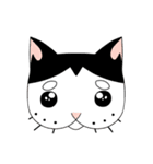 ぱんだねこ（個別スタンプ：3）