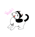 ぱんだねこ（個別スタンプ：4）