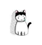 ぱんだねこ（個別スタンプ：9）