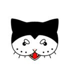 ぱんだねこ（個別スタンプ：10）