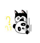 ぱんだねこ（個別スタンプ：12）
