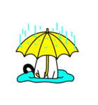 ぱんだねこ（個別スタンプ：13）