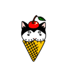 ぱんだねこ（個別スタンプ：19）