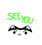 ぱんだねこ（個別スタンプ：31）