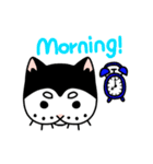 ぱんだねこ（個別スタンプ：39）