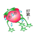 Q version of strawberry life（個別スタンプ：34）