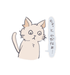 ゆるーく直感的なねこ（個別スタンプ：27）