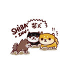 Shiba-Liubay（個別スタンプ：1）