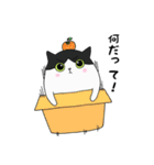 デブねこ にーぽん（個別スタンプ：39）