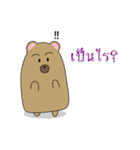 Family Bear cat（個別スタンプ：8）