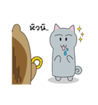 Family Bear cat（個別スタンプ：20）