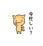 まーにゃん（個別スタンプ：20）