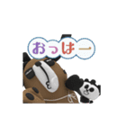 【動く】死語ですよ！パパンがパンダ！（個別スタンプ：1）