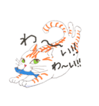 うちの茶トラくん（個別スタンプ：3）