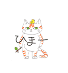 うちの茶トラくん（個別スタンプ：5）