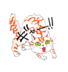 うちの茶トラくん（個別スタンプ：6）
