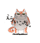 うちの茶トラくん（個別スタンプ：9）