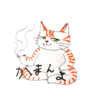 うちの茶トラくん（個別スタンプ：11）