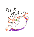 うちの茶トラくん（個別スタンプ：12）