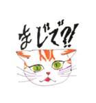 うちの茶トラくん（個別スタンプ：14）
