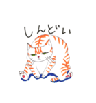 うちの茶トラくん（個別スタンプ：22）