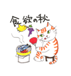 うちの茶トラくん（個別スタンプ：24）