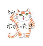 うちの茶トラくん（個別スタンプ：28）