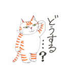 うちの茶トラくん（個別スタンプ：31）